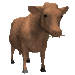 cows_eating_sc.gif