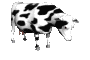 cows_ears_flick_sc.gif