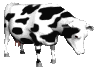 cows_ears_flick_mc.gif