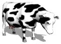 cows_ears_flick_lw.gif