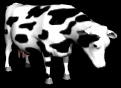 cows_ears_flick_lb.gif