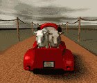 cows_coming_home_truck_mc.gif