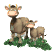 cow_with_a_baby_tw.gif