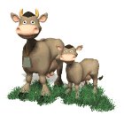 cow_with_a_baby_mw.gif