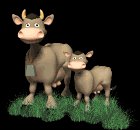 cow_with_a_baby_mb.gif
