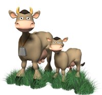 cow_with_a_baby_hr.jpg