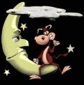 cow_sitting_on_moon_lw.gif