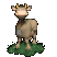 cow_mooing_tc.gif