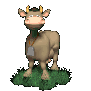 cow_mooing_sc.gif