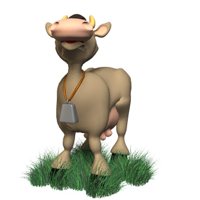 cow_mooing_hr.jpg