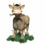 cow_eating_grass_sw.gif
