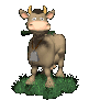 cow_eating_grass_sc.gif