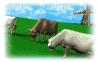 cattle_chewin_sw.gif