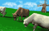 cattle_chewin_sc.gif