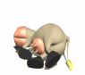 cartoon_cow_is_she_dead_sw.gif