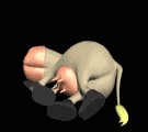 cartoon_cow_is_she_dead_mb.gif