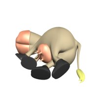 cartoon_cow_is_she_dead_hr.jpg