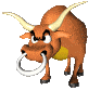 bull_stomp_sc.gif