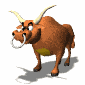 bull_mad_sw.gif