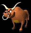 bull_mad_lc.gif