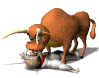 bull_kiss_matador_sw.gif