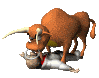 bull_kiss_matador_sc.gif