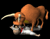 bull_kiss_matador_sb.gif