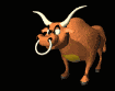 bull_cow_puffing_toonin_sb.gif