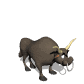 bull_bucking_sw.gif