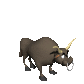 bull_bucking_sc.gif