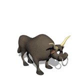 bull_bucking_lw.gif