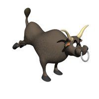 bull_bucking_hr.jpg