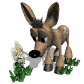 fawn_smelling2_sw.gif