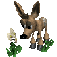 fawn_smelling2_sc.gif