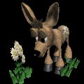 fawn_smelling2_mc.gif