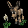 fawn_smelling2_mb.gif