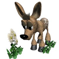 fawn_smelling2_hr.jpg