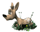 fawn_layingdown_sw.gif
