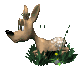 fawn_layingdown_sc.gif
