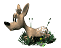 fawn_layingdown_mw.gif