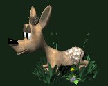 fawn_layingdown_lc.gif
