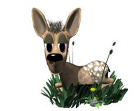 fawn_layingdown_hr.jpg