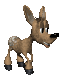 fawn_galloping_sc.gif