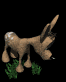 fawn_bashful_sb.gif