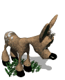 fawn_bashful_mw.gif