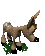 fawn_bashful_mc.gif