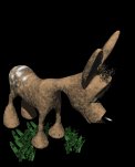 fawn_bashful_lb.gif