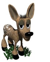 fawn_bashful_hr.jpg