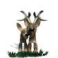 deers_lovebirds_sw.gif