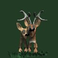 deers_lovebirds_mc.gif